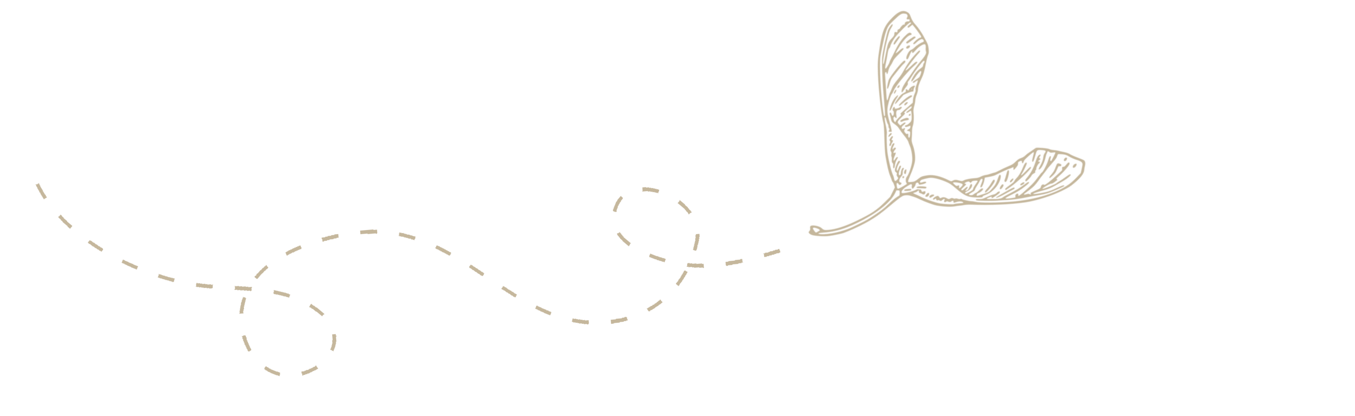 Squiggle